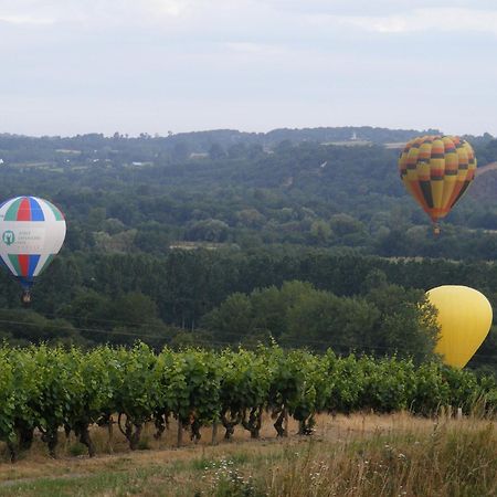 Chambres D'Hotes Vignes Et Loire Drain Dış mekan fotoğraf