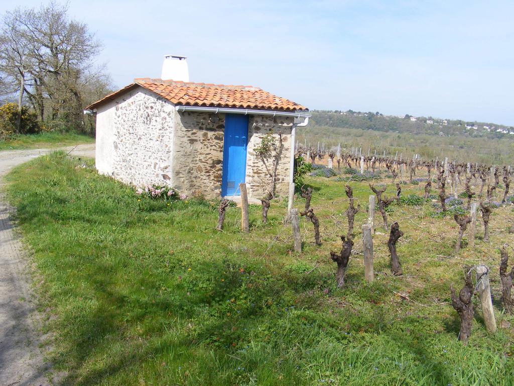 Chambres D'Hotes Vignes Et Loire Drain Oda fotoğraf