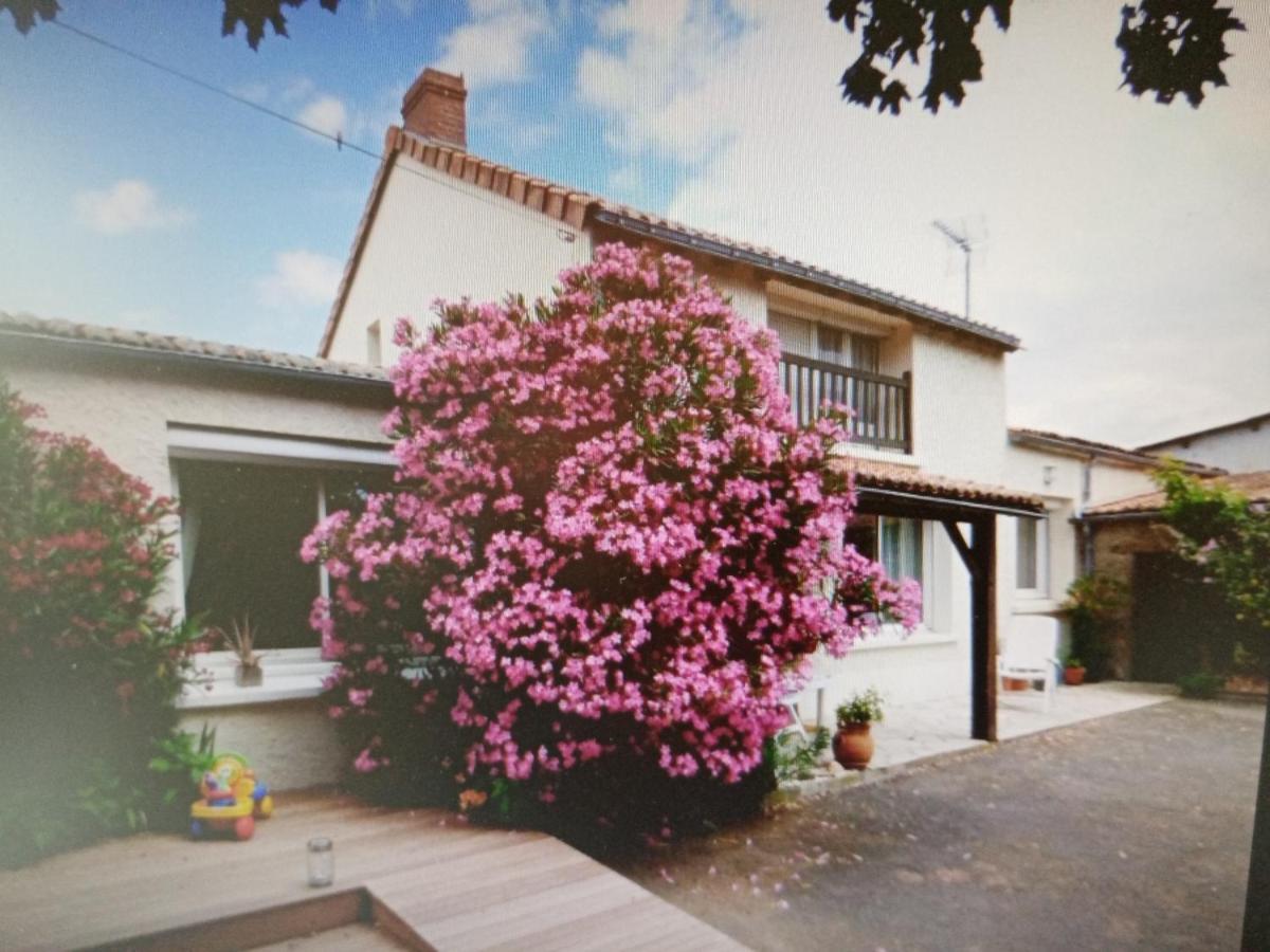 Chambres D'Hotes Vignes Et Loire Drain Dış mekan fotoğraf