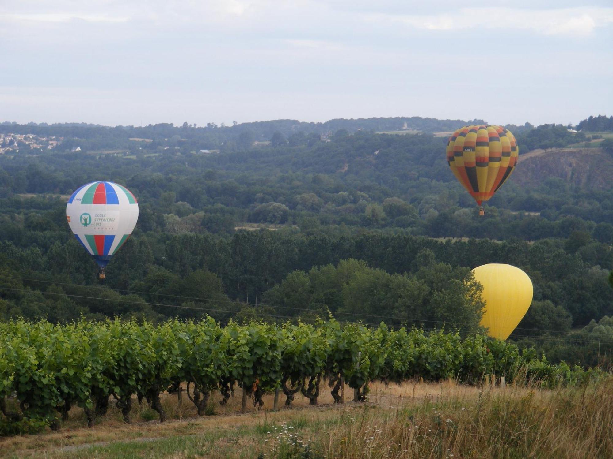 Chambres D'Hotes Vignes Et Loire Drain Dış mekan fotoğraf