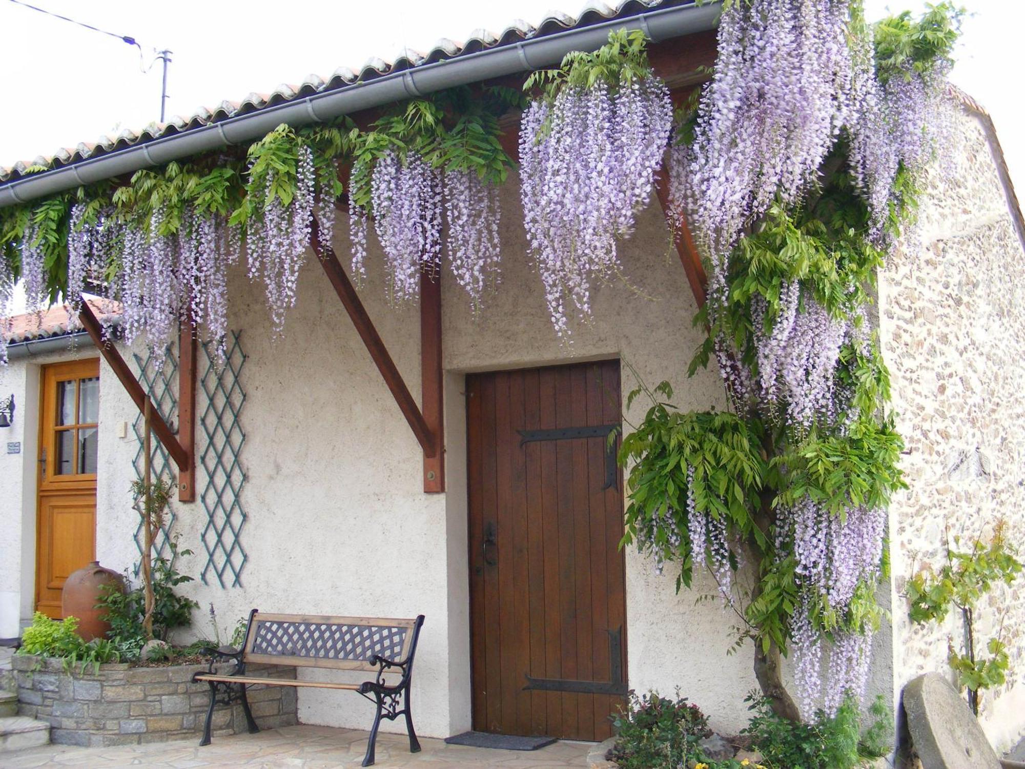 Chambres D'Hotes Vignes Et Loire Drain Dış mekan fotoğraf