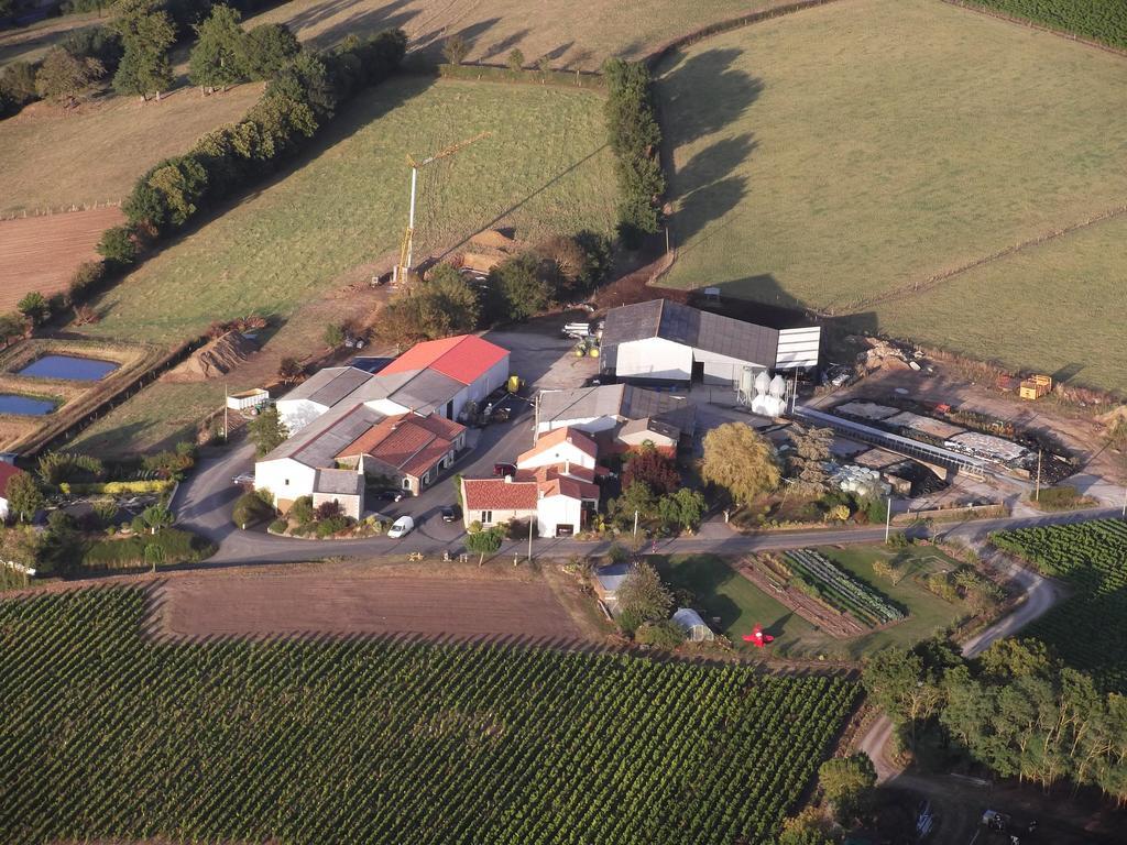 Chambres D'Hotes Vignes Et Loire Drain Dış mekan fotoğraf