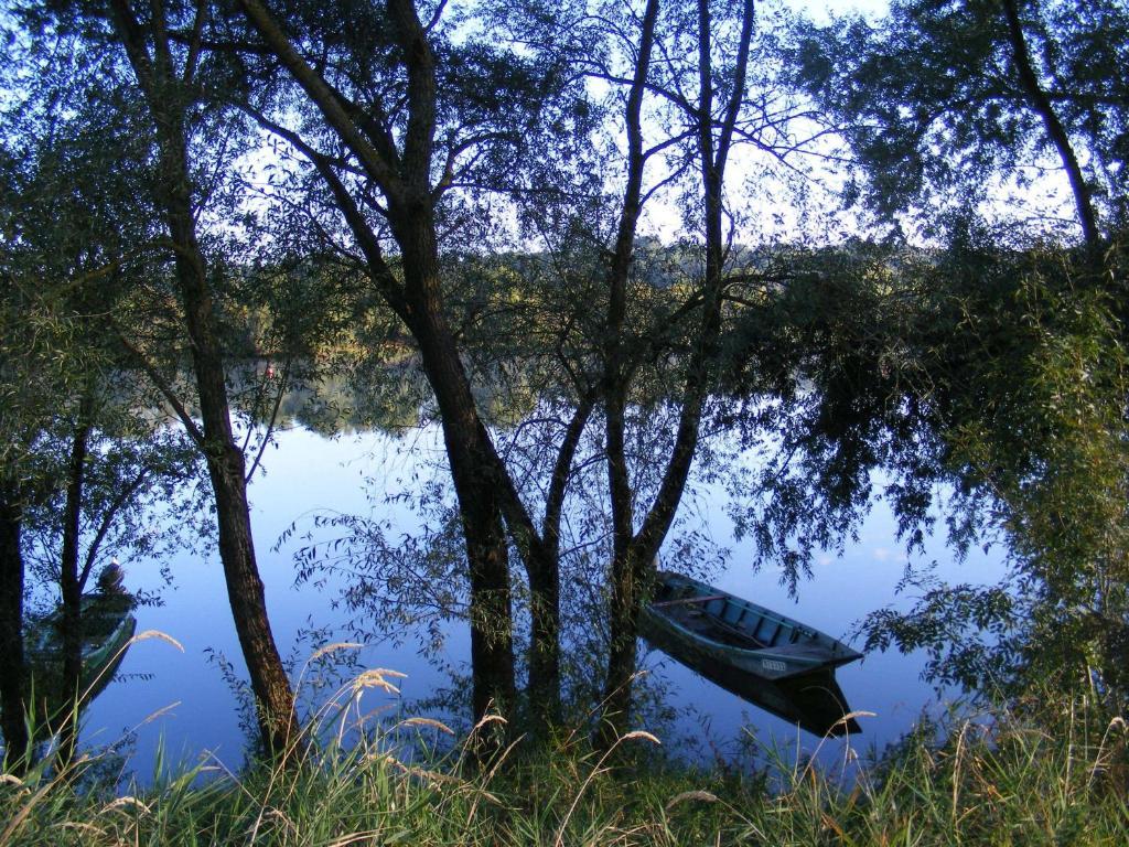 Chambres D'Hotes Vignes Et Loire Drain Dış mekan fotoğraf